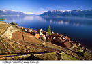 lavaux.jpg