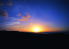 nature-105.jpg